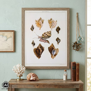 Poster Escargots et mollusques anciens, organismes de la