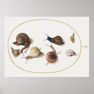 Poster Escargots vintages