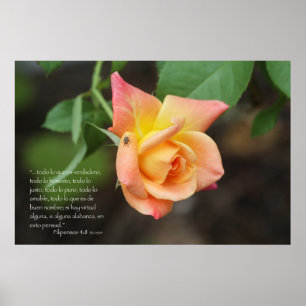 Poster Escroquerie rosa de 4:8 de Filipenses