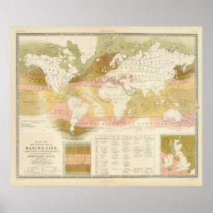 Poster Espèce marine