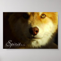 Esprit