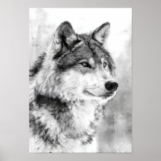 Poster Esprit de la nature - Loup gris, croquis d'art fin