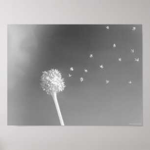 Poster Esprit du vent