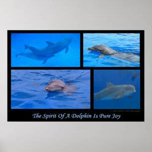 Poster Esprit D'Un Dauphin