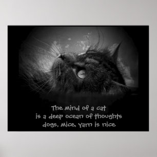Poster Esprit d'un haiku de chat