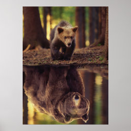 Poster Esprit Ours Grizzli - Réflexion De L'Eau Des Cubs