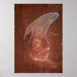 Poster Esprits Météo - Mod Enfant 1