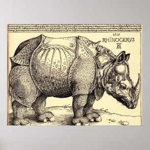 Poster Esquisse d'Albrecht Durer