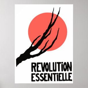 poster essentiel de révolution