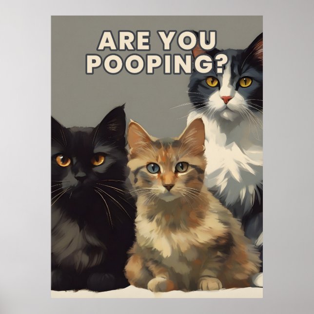 Poster est-ce que vous foutez l'affiche du chat (Devant)