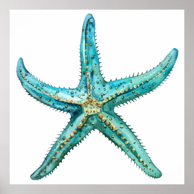 Poster Estarfish turquoise (Devant)