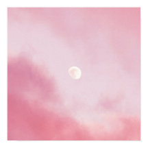 Esthétique Calme Ciel rose et Lune