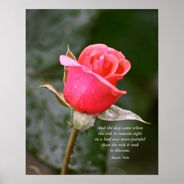 Poster Et le jour est venu.... (Devant)