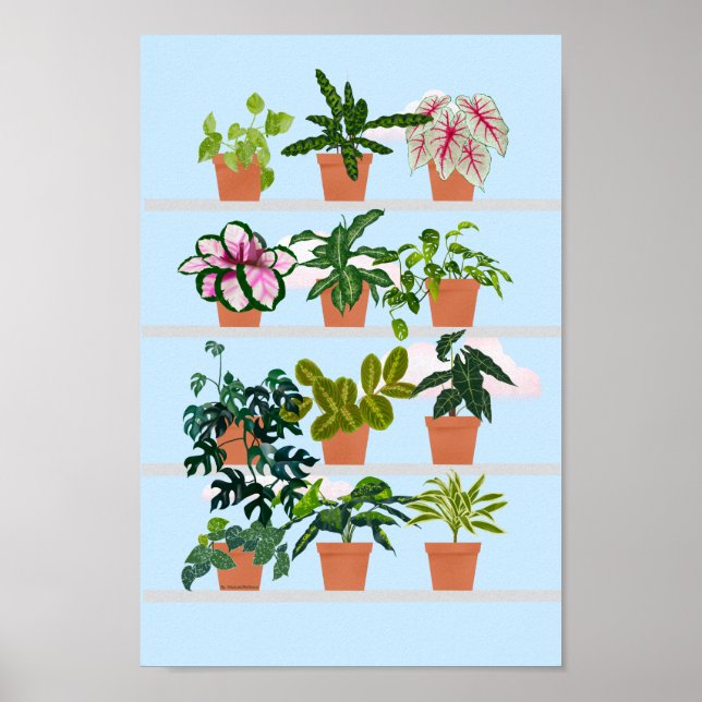 Poster Étagères avec Plantes de maison (Devant)