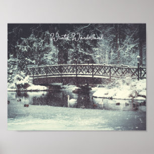 Poster Étang d'hiver