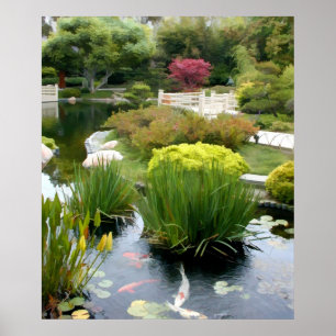 Poster Étang japonais de jardin avec Koi