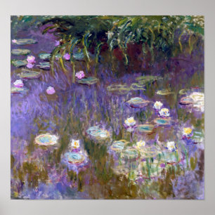 Poster Etang Lily, Monet