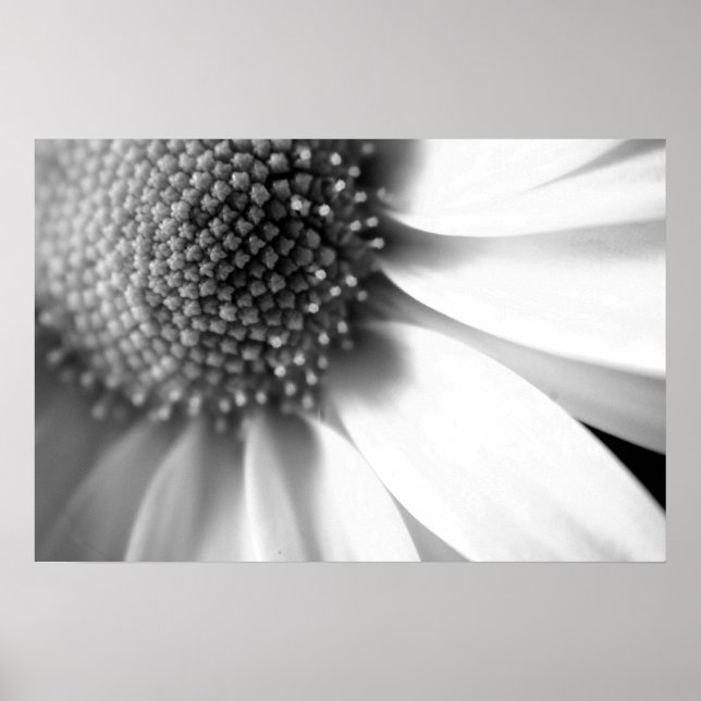 Poster Étapes de la vie (Devant)