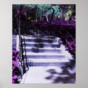 Poster Étapes pourpres par les fleurs pourpres