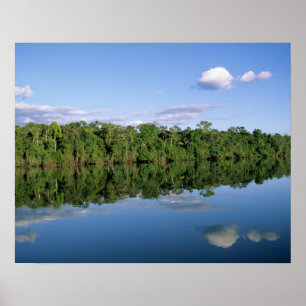 Poster État du Mato Grosso, Amazonie, Brésil. Forêt