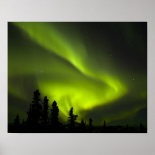 Poster États-Unis, Alaska, Chena Hot Springs. Aurore boré