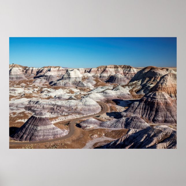 Poster États-Unis, Arizona, Parc National de la Forêt Pet (Devant)