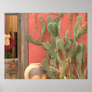 Poster États-Unis, Arizona, Tucson : Presidio Historic Di
