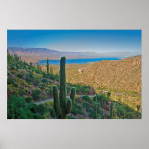 Poster États-Unis, Arizona. Vue De L'Entrée À Tonto