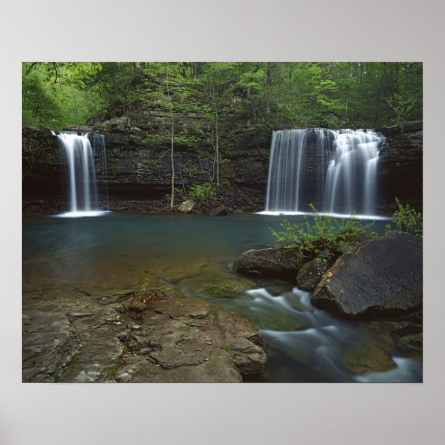 Poster États-Unis, Arkansas, Ozark- St Francis National (Devant)