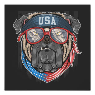 Poster États-Unis Bulldog
