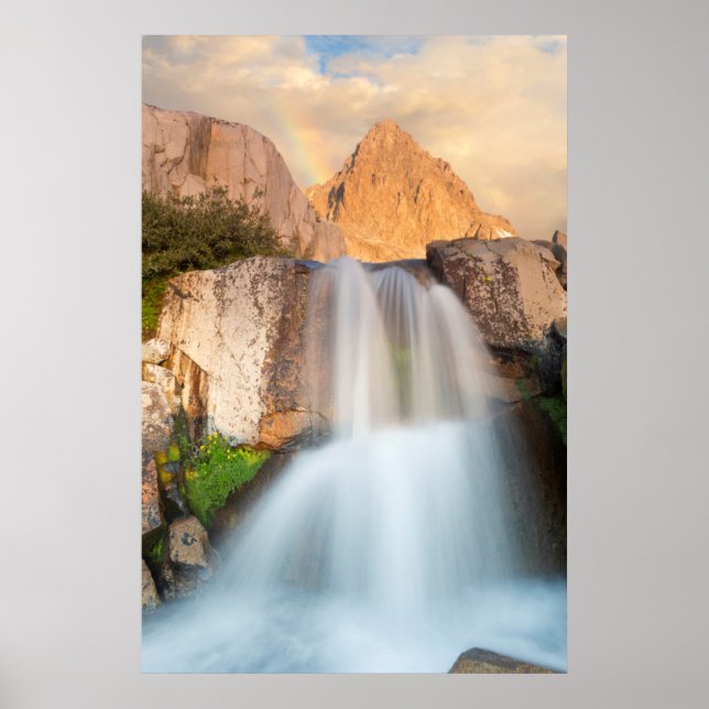 Poster États-Unis, Californie, Forêt nationale d'Inyo. Ca (Devant)