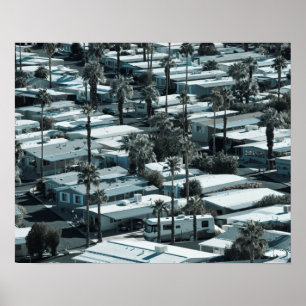 Poster États-Unis, Californie, Palm Springs. Parc de cara