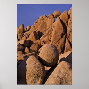 Poster États-Unis, Californie, Parc national de Joshua Tr