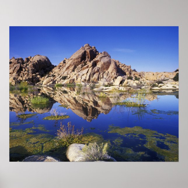 Poster États-Unis, Californie, Parc national de Joshua Tr (Devant)