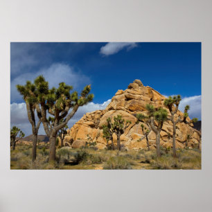 Poster États-Unis, Californie, Parc national de Joshua Tr