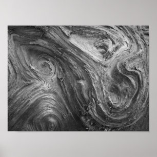 Poster États-Unis, État de Washington. Douglass Fir