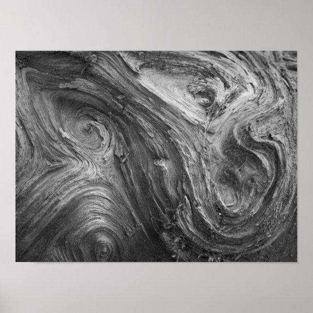 Poster États-Unis, État de Washington. Douglass Fir (Devant)