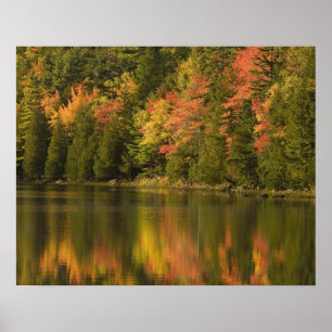 Poster États-Unis; Maine; Acadia NP. Réflexions automnale