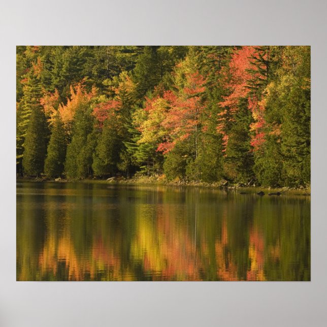 Poster États-Unis; Maine; Acadia NP. Réflexions automnale (Devant)