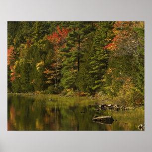 Poster États-Unis; Maine; Parc national d'Acadia. Réflexi