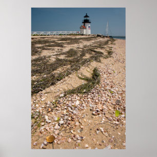 Poster États-Unis, Massachusetts, Nantucket. Coquille