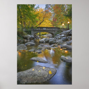Poster États-Unis, Oregon, Ashland, Lithia Park. Automne