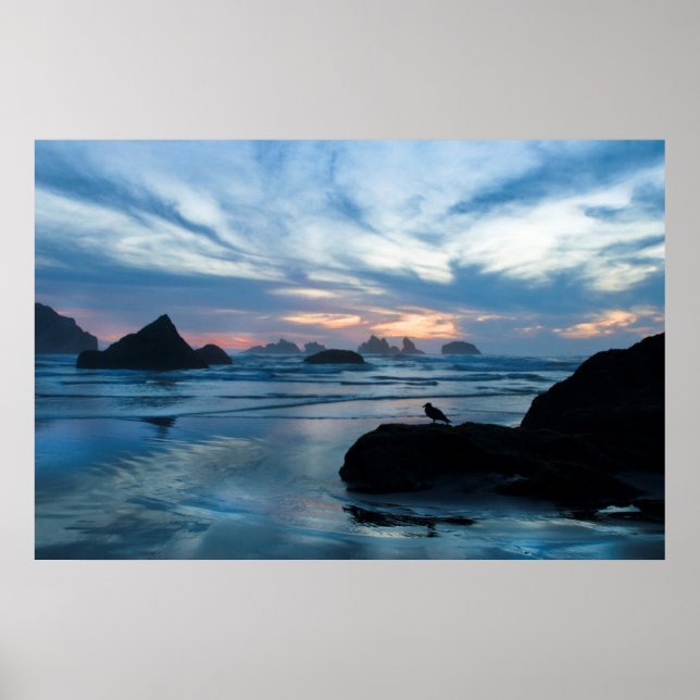 Poster États-Unis, Oregon, Bandon Beach. Seagull on rock (Devant)