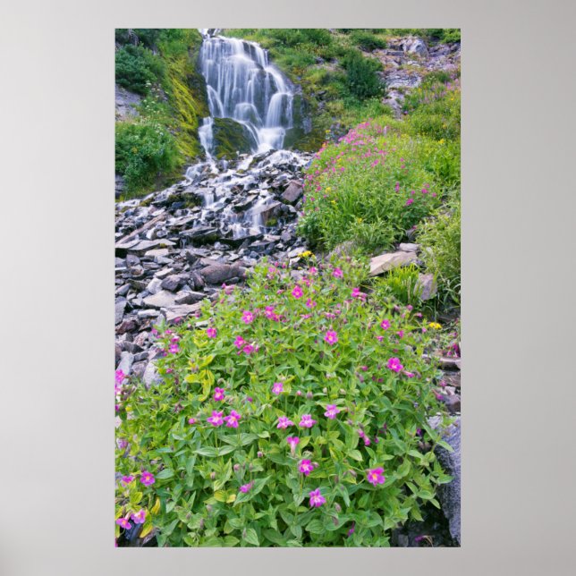 Poster États-Unis, Oregon, Crater Lake National Park (Devant)