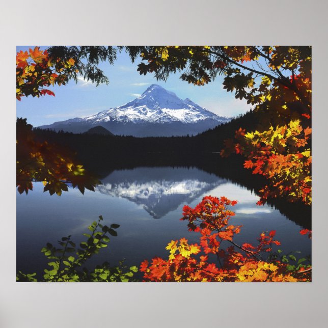 Poster États-Unis, Oregon, Mt. Hood National Forest. (Devant)