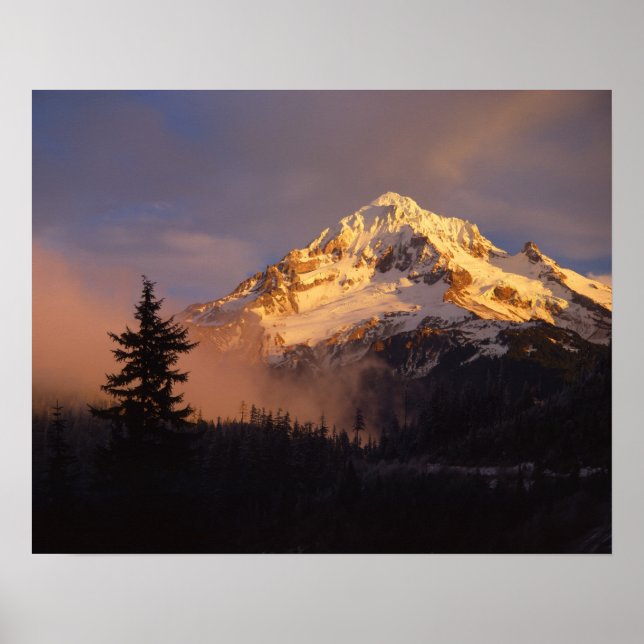 Poster États-Unis, Oregon, Mt. Hood National Forest. Roul (Devant)