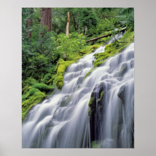 Poster États-Unis, Oregon, Proxy Falls. Proxy Falls se pr