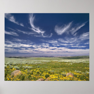 Poster États-Unis, Oregon, Steens Mountain. Le printemps