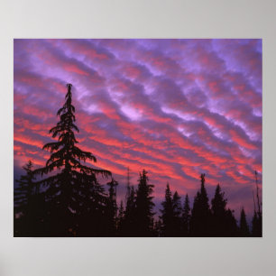 Poster États-Unis, Oregon, Three Sisters Wilderness, Vivi
