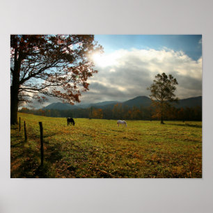 Poster États-Unis, Tennessee. Chevaux dans la vallée de C